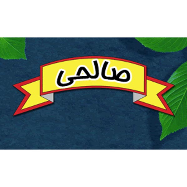 شرکت مواد غذایی صالحی (همدان)